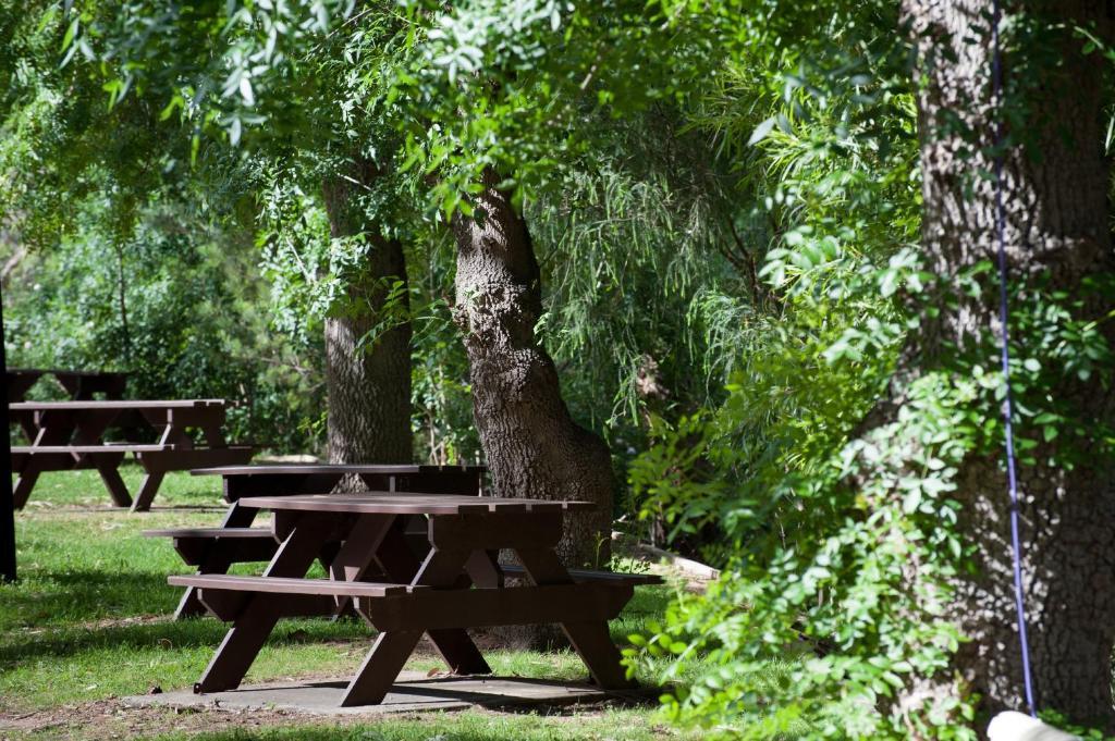 Adelaide Brownhill Creek Tourist Park Hotell Exteriör bild