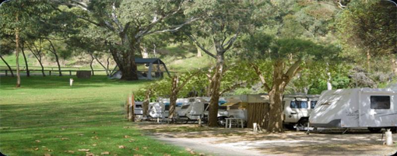 Adelaide Brownhill Creek Tourist Park Hotell Exteriör bild